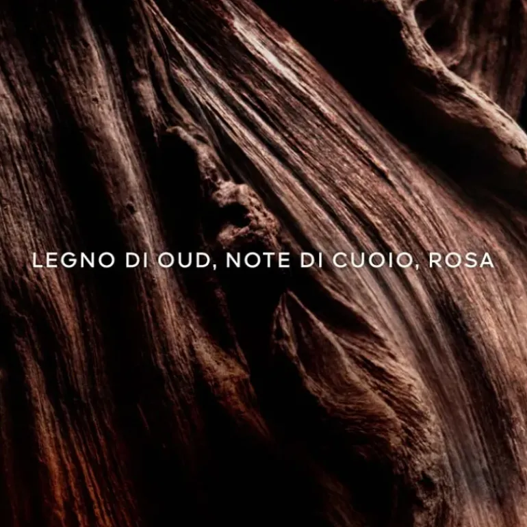 Absolus Allegoria Oud Essentiel