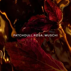 Absolus Allegoria Patchouli Ardent