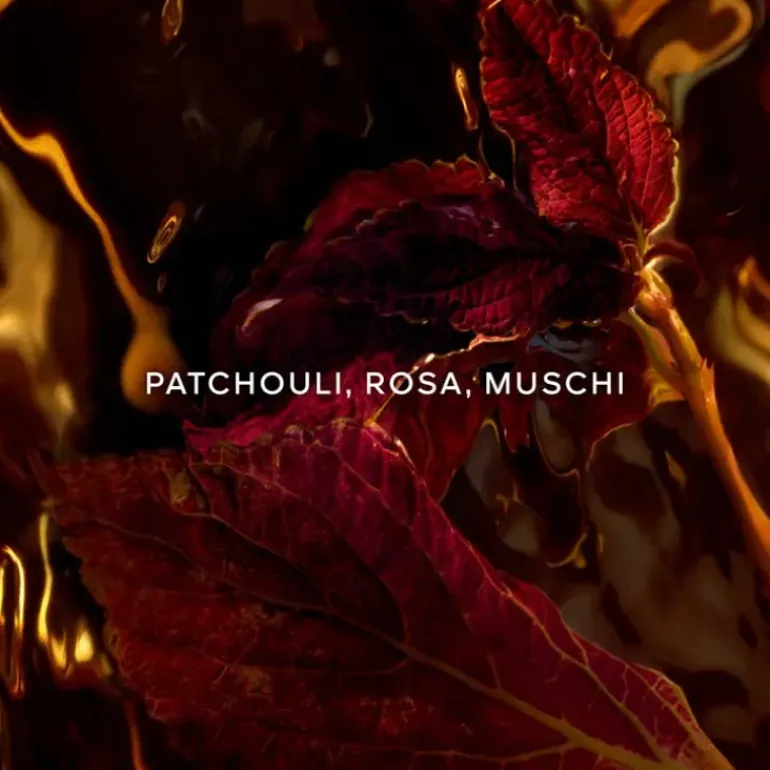 Absolus Allegoria Patchouli Ardent