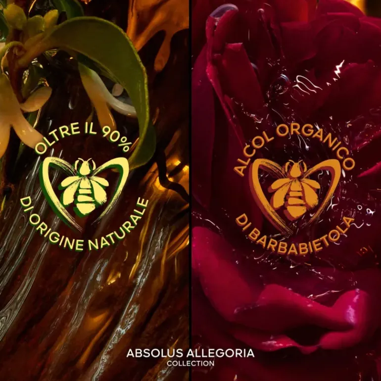 Absolus Allegoria Rose Amira
