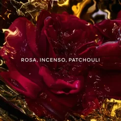 Absolus Allegoria Rose Amira