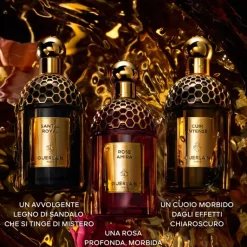 Absolus Allegoria Rose Amira