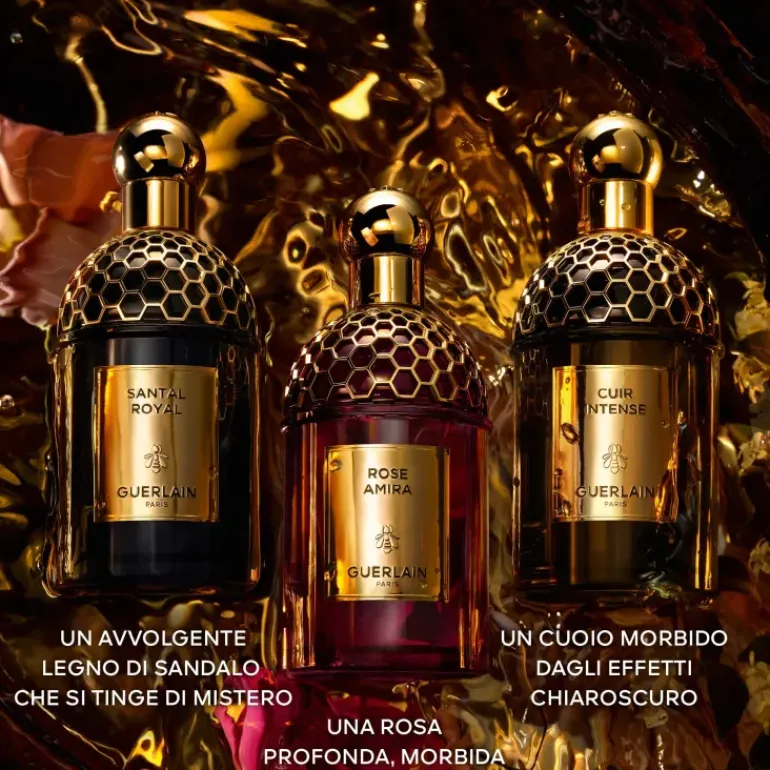 Absolus Allegoria Rose Amira