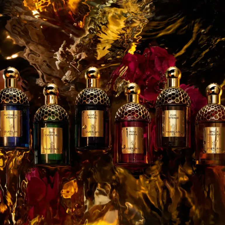 Absolus Allegoria Rose Amira