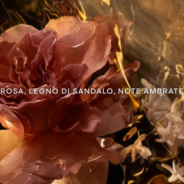 Absolus Allegoria Santal Royal