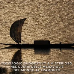 Absolus Allegoria Santal Royal