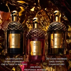 Absolus Allegoria Santal Royal