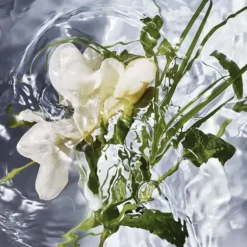 Aqua Allegoria Herba Fresca