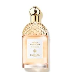Aqua Allegoria Pamplelune