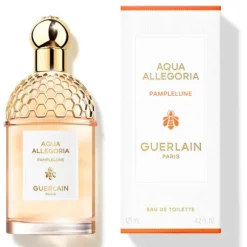 Aqua Allegoria Pamplelune