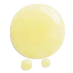 Benefiance Wrinkle Smoothing Contour Serum 30 ML