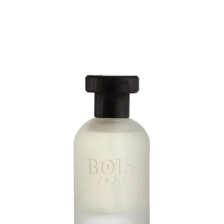Bois 1920 I CLASSICI - Classic 1920 EDP 100 ML