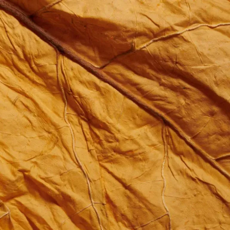 Comme des Garçons Copper
