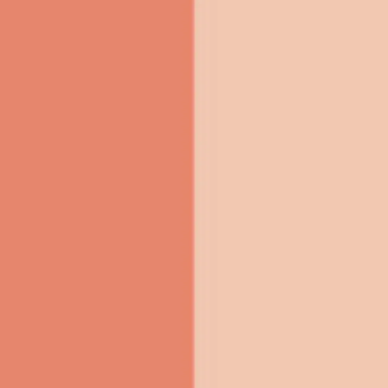 Dior Forever Rouge Blush Colour & Glow