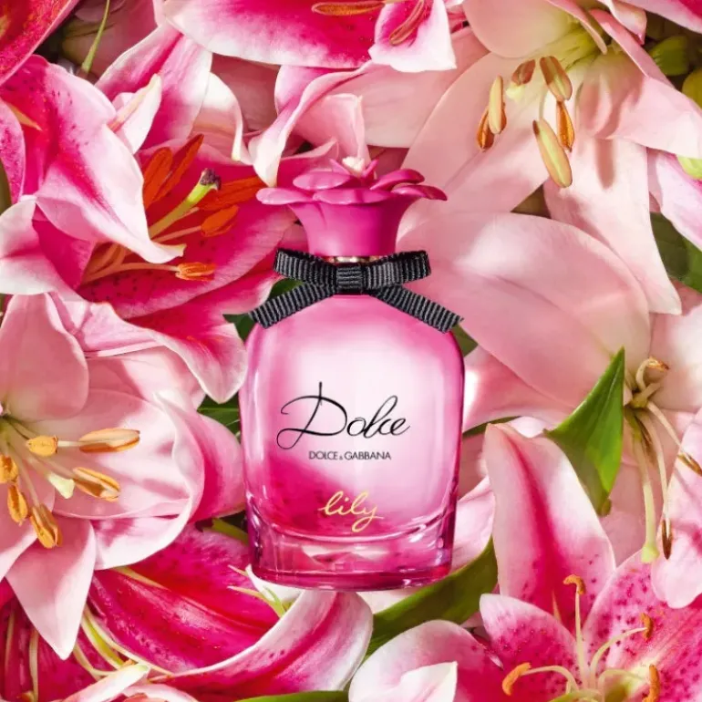 Dolce Lily