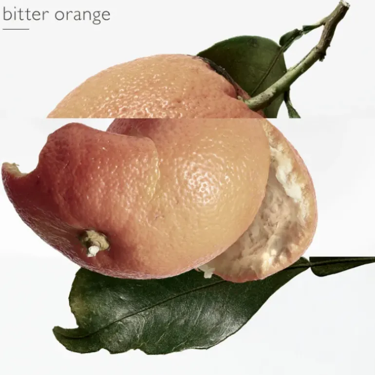 Eau des Merveilles EDT