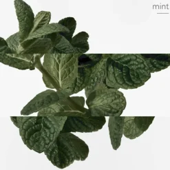 Eau d'orange verte