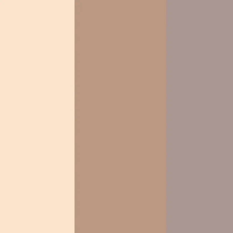 Essential Eye Shadow Trios