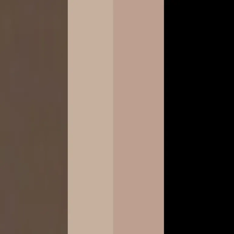 Eyebrow Professional Kit