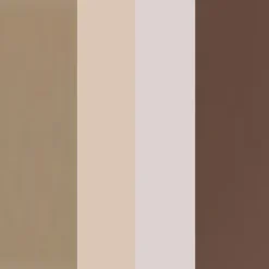Eyebrow Professional Kit