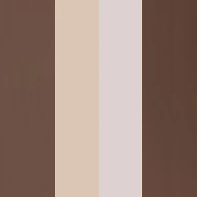 Eyebrow Professional Kit