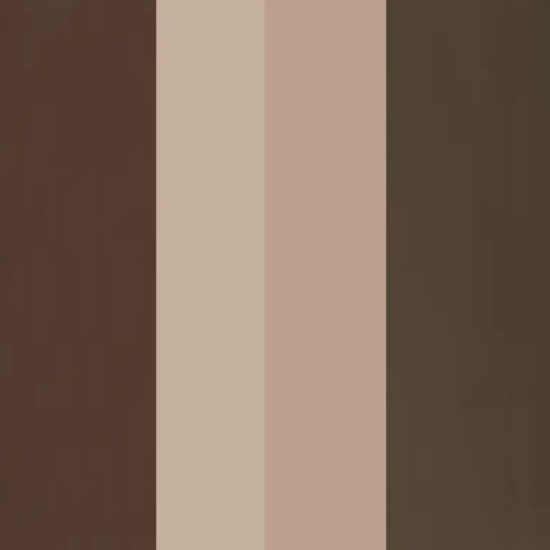 Eyebrow Professional Kit