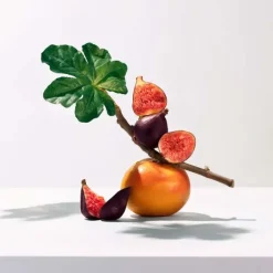 Fleur de Figuier