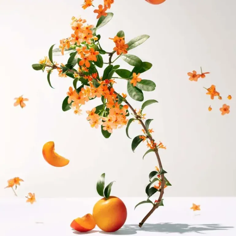 Fleur d'Osmanthus