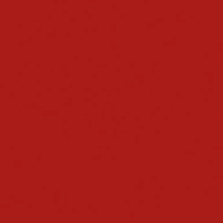 Forever Matte Lipstick - Rossetto Mat