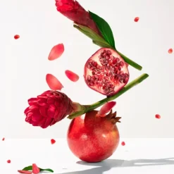 Gingembre Rouge 200 ML