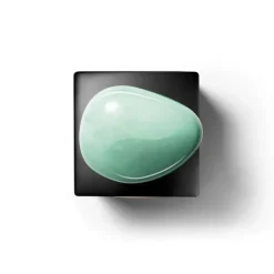 Iris Céladon - La Collection