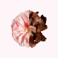 Irresistible 100 ML