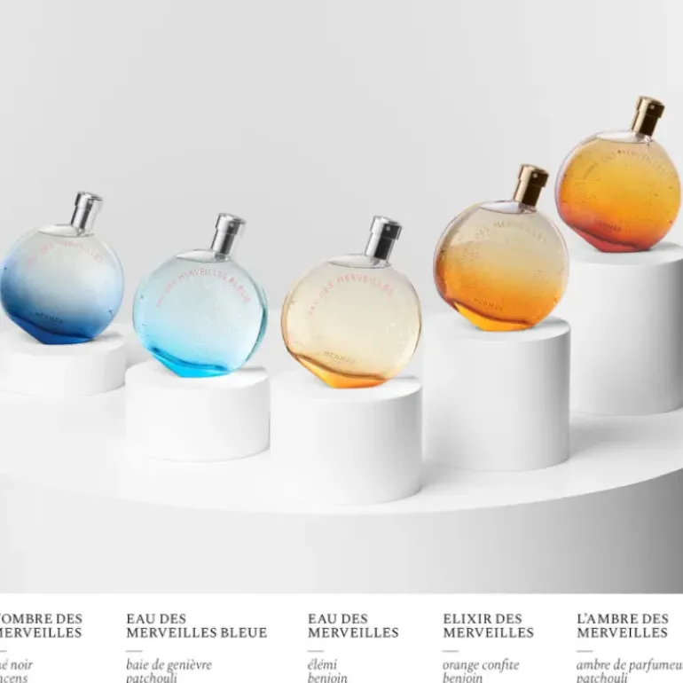 L'Ambre des Merveilles