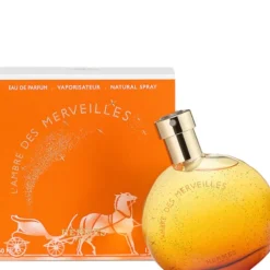 L'Ambre des Merveilles