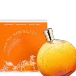 L'Ambre des Merveilles