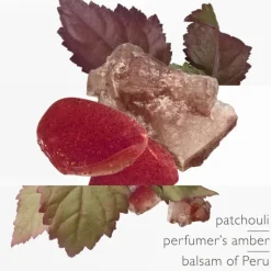 L'Ambre des Merveilles