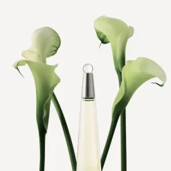L'Eau D'Issey EDT