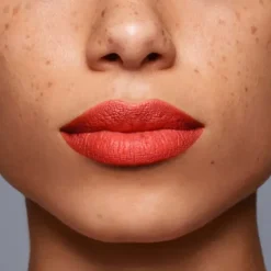 LipLiner InkDuo