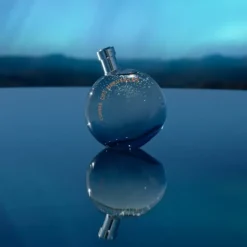 L'Ombre des Merveilles