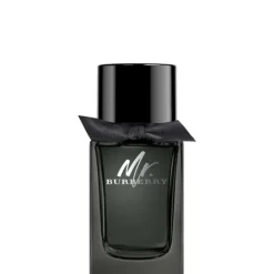 Mr Burberry EDP