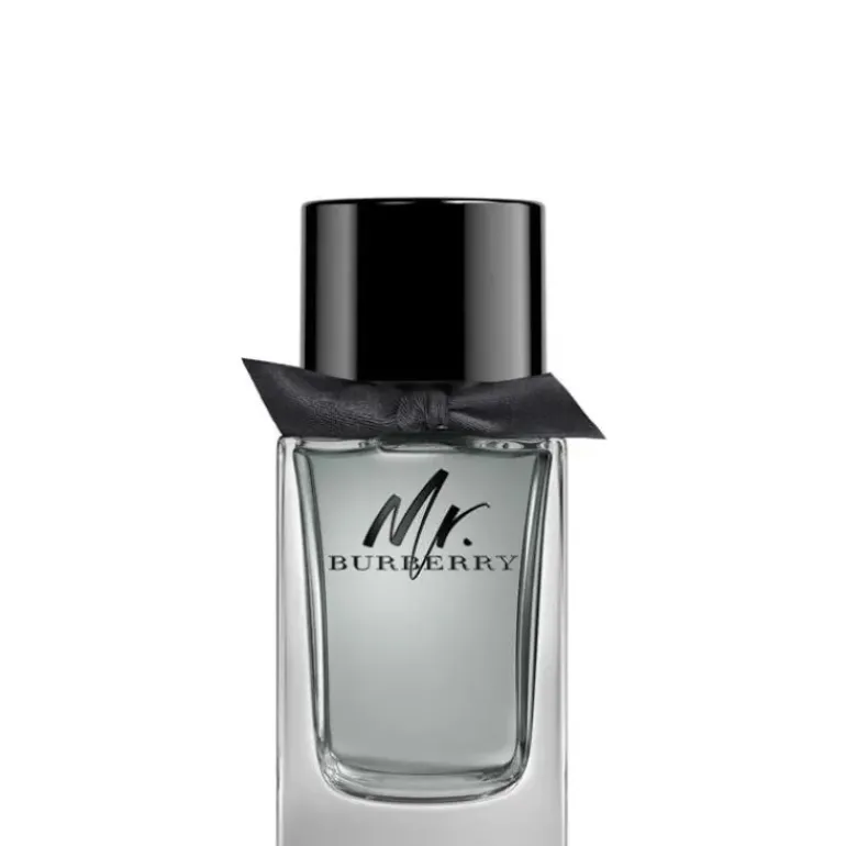 Mr Burberry EDT