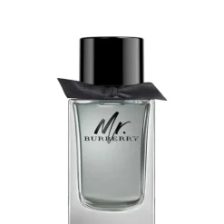 Mr Burberry EDT