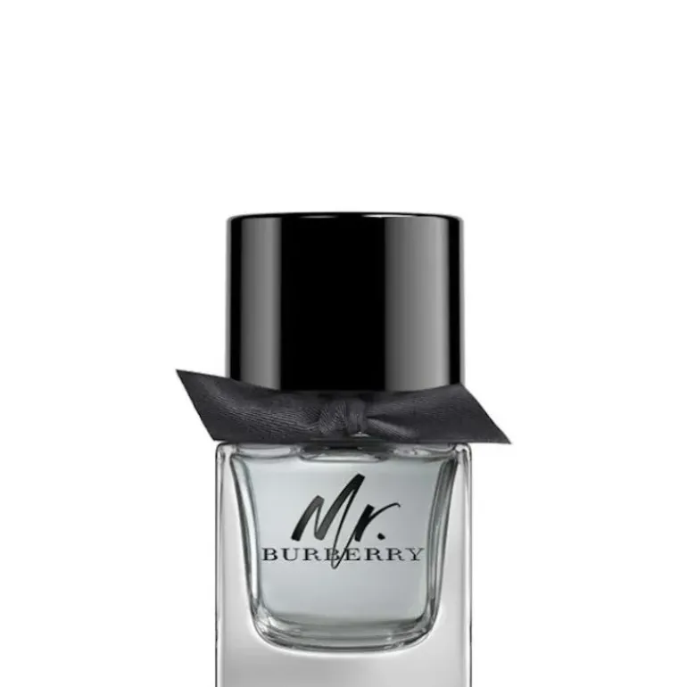 Mr Burberry EDT