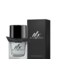 Mr Burberry EDT