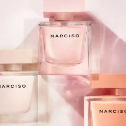 Narciso Cristal