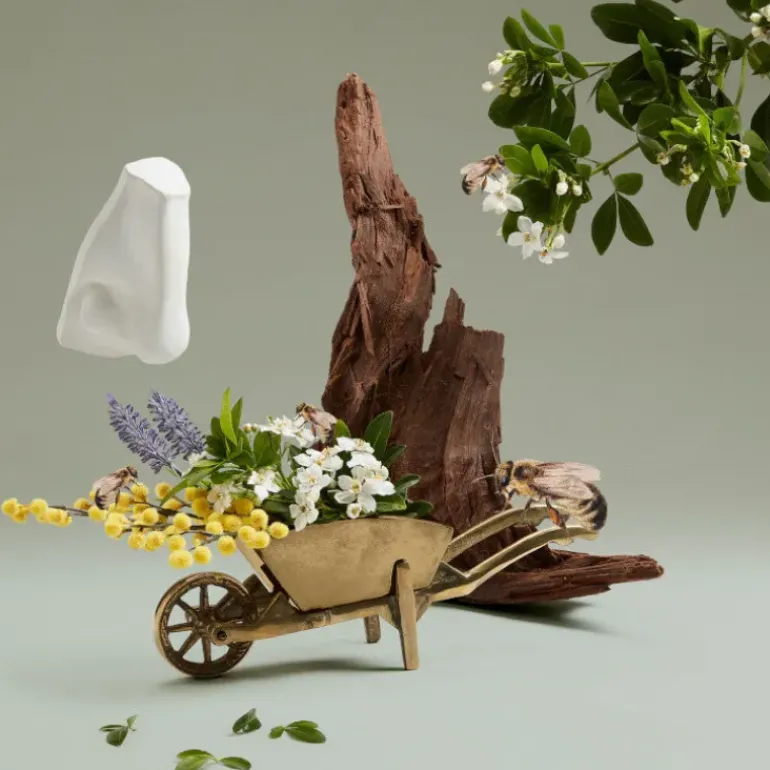 Penhaligon's Highgrove Bouquet 100 ML