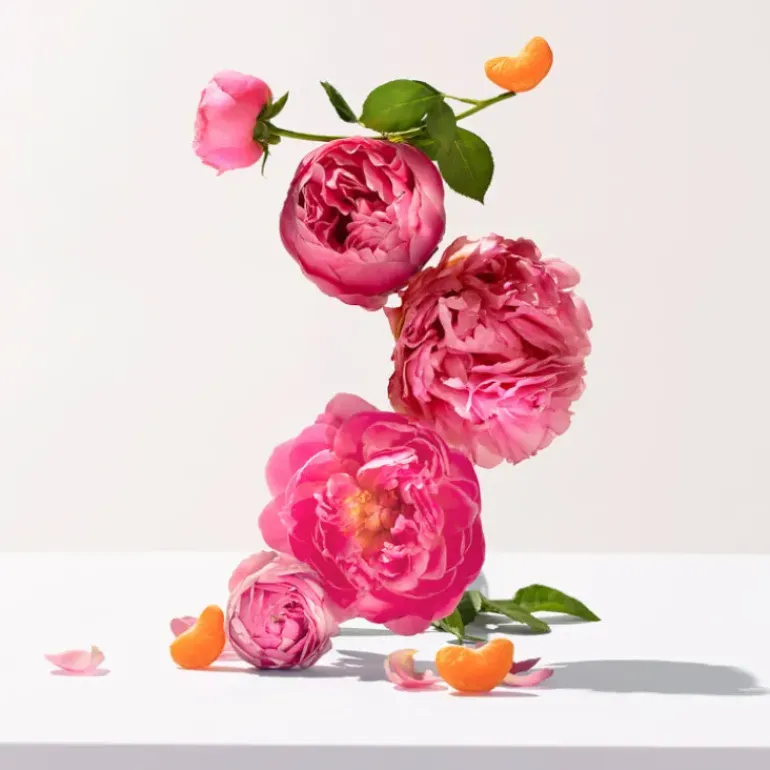 Rose 200 ML