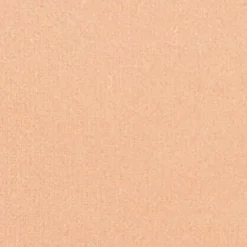 Silk feel Wet & dry Powder Foundation - Fondotinta Compatto in Polvere