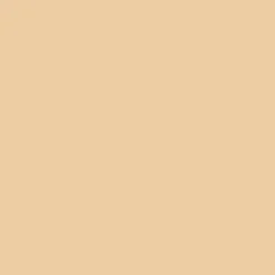 Skin Concealer Stick