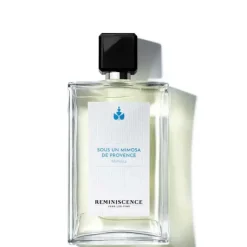 Sous un Mimosa de Provence